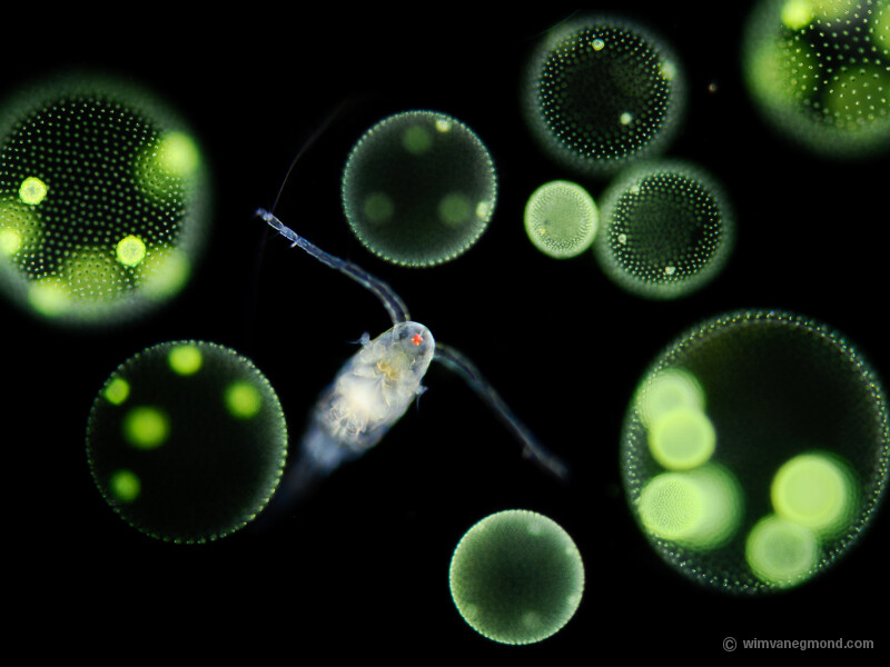 Exploring micro worlds